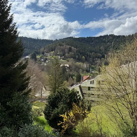 1-zimmer-apartment In Der Naehe Der Therme Und Haengebruecke Bad Wildbad