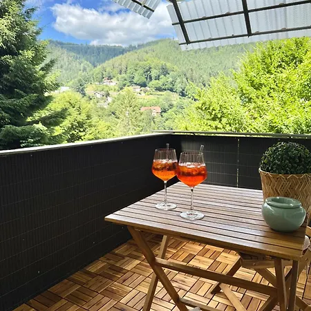 1-zimmer-apartment In Der Naehe Der Therme Und Haengebruecke