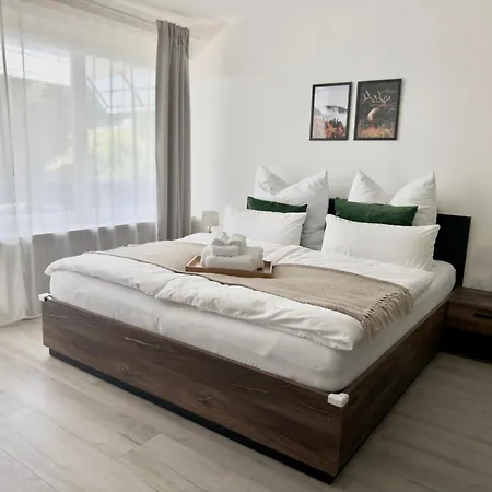 Apartman 1-zimmer-apartment In Der Naehe Der Therme Und Haengebruecke Bad Wildbad